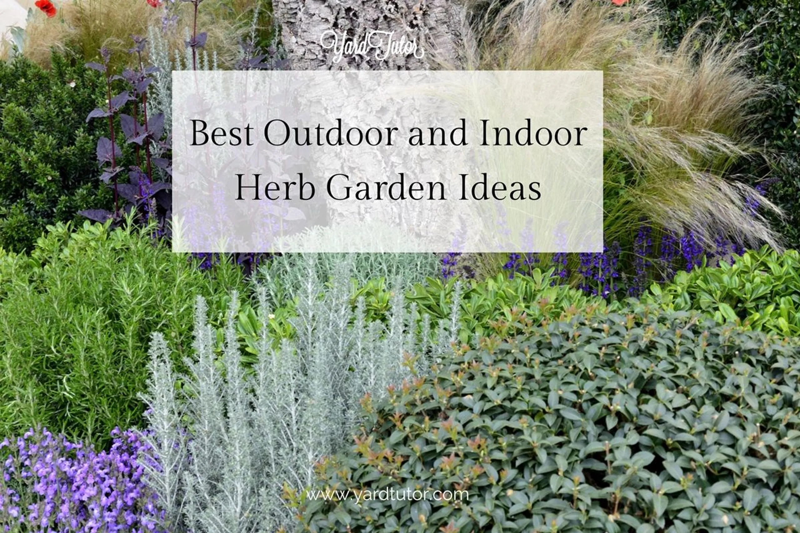 Best Indoor and Outdoor Herb Garden Ideas Blog Header