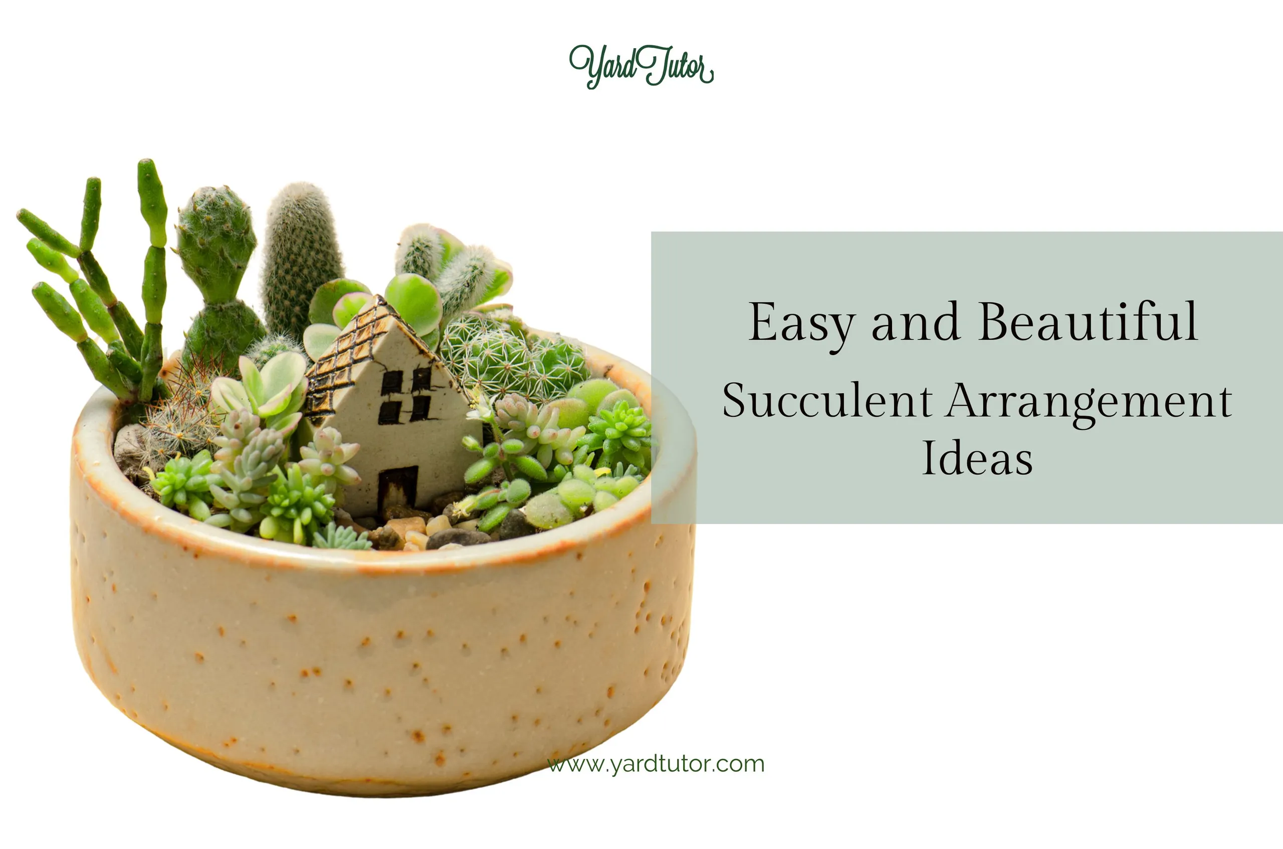 Easy and Beautiful Succulent Arrangement Ideas Blog Header