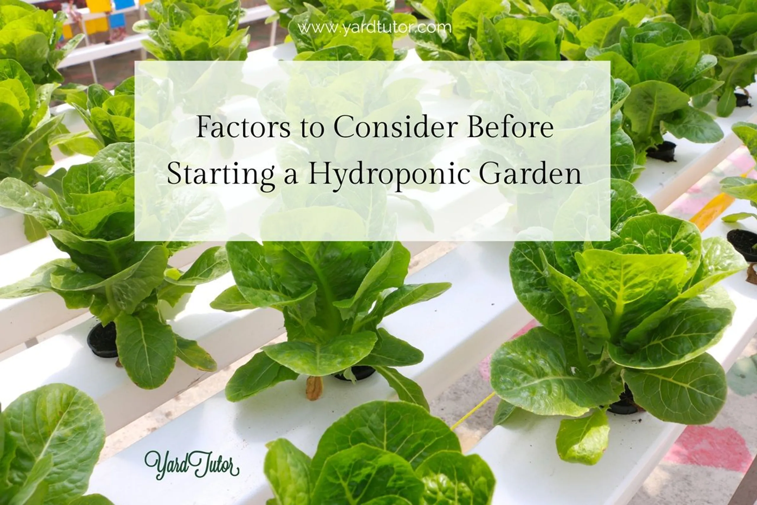 Factors-to-Consider-Before-Starting-a-Hydroponic-Garden