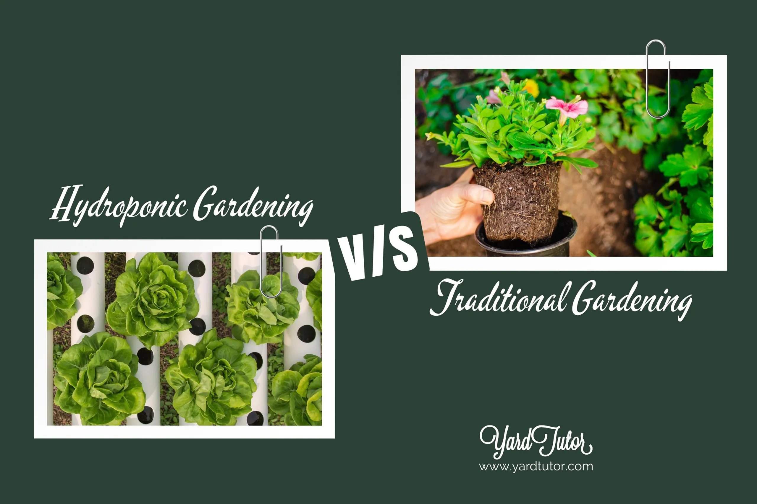 Two smaller images one showing Hydroponic another traditional gardening place on opposite sides on green background.