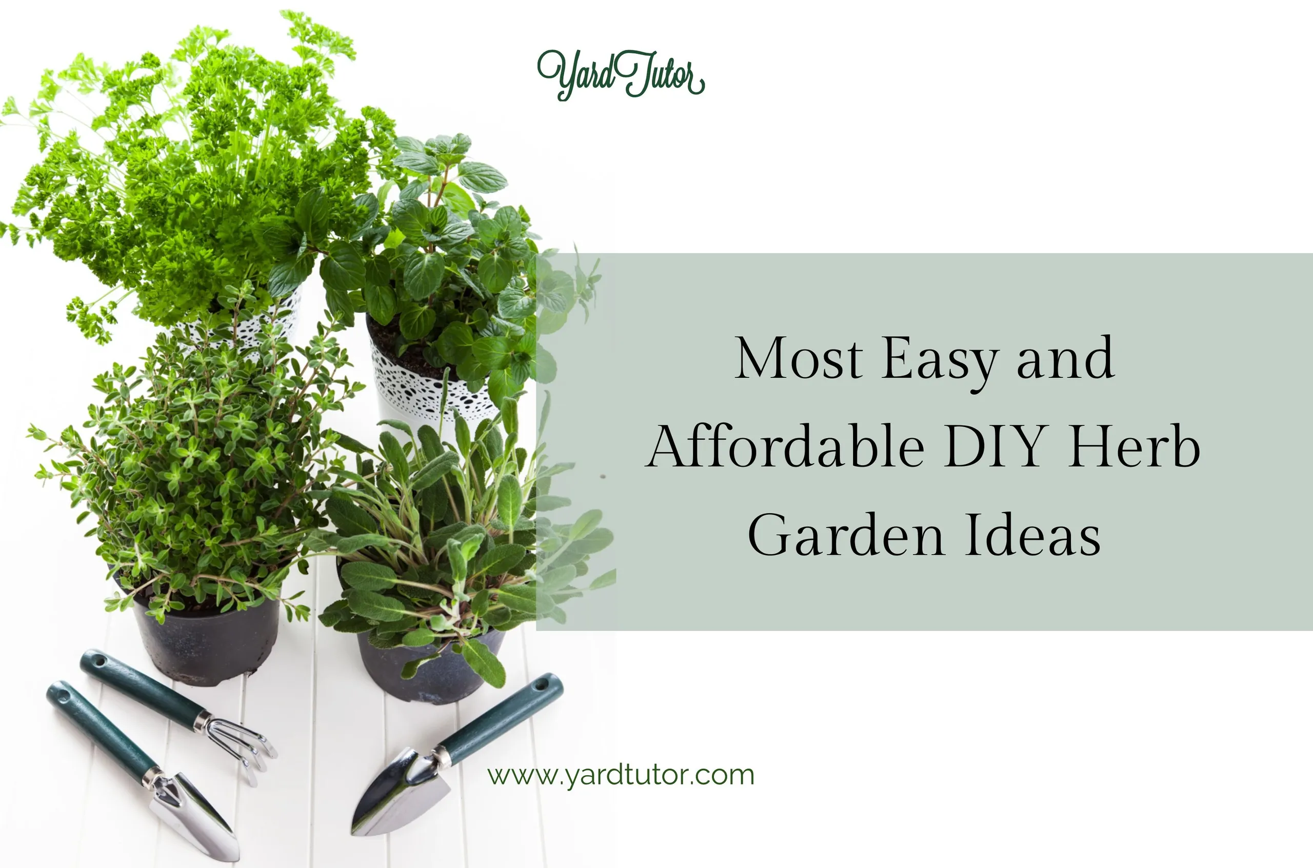Most-Easy-and-Affordable-DIY-Herb-Garden-Ideas-Blog-Header