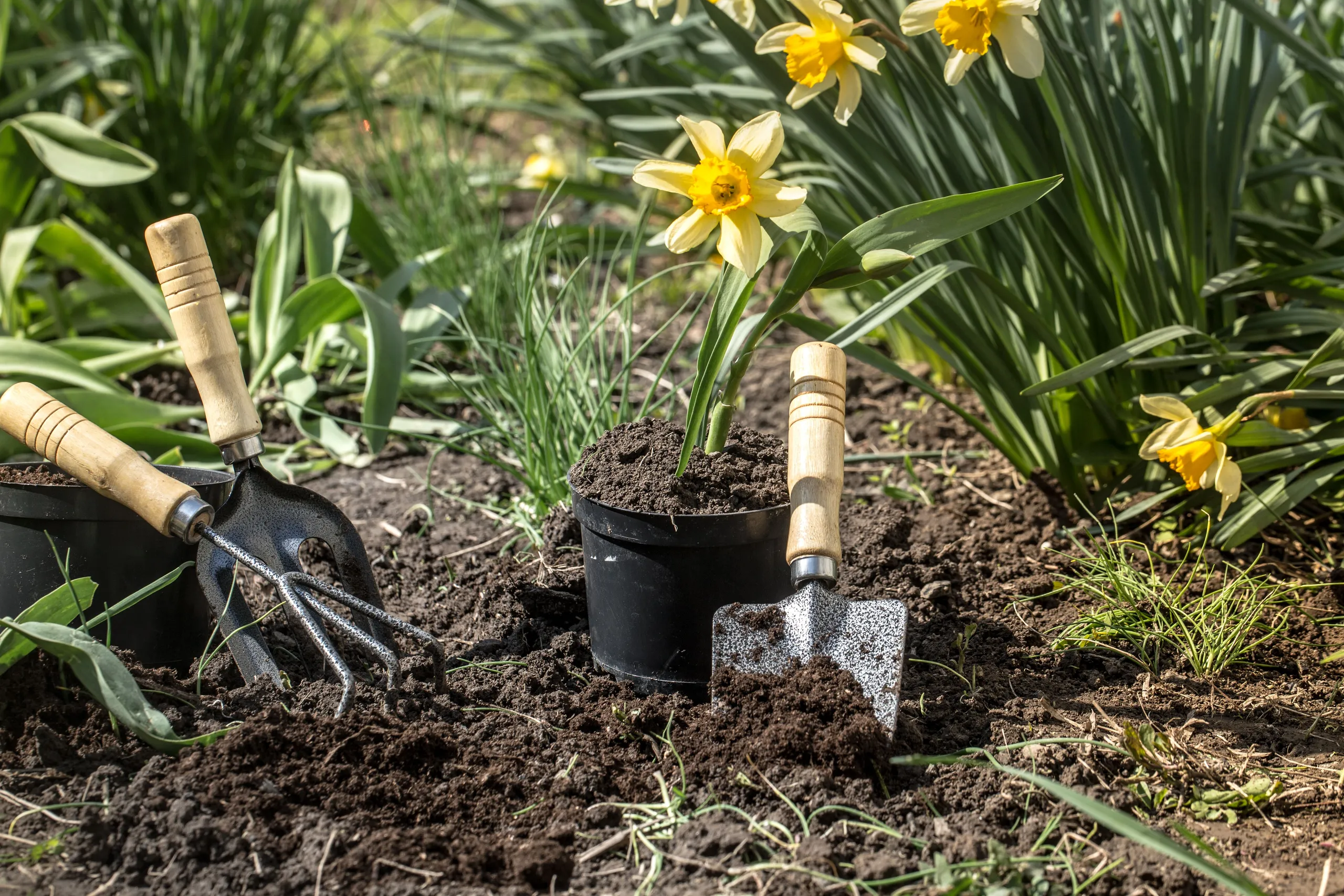 planting-flowers-garden-garden-tools-flowers.jpg