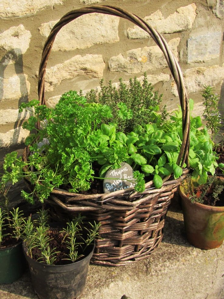 Baskets made out of wicks are placed outdoors and there are herbs planted in them.