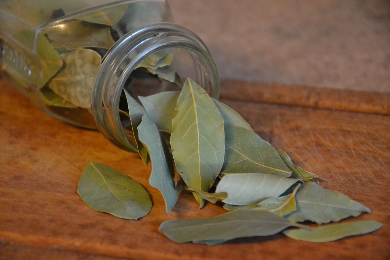 Dried bayleaves coming out of a glass jar.