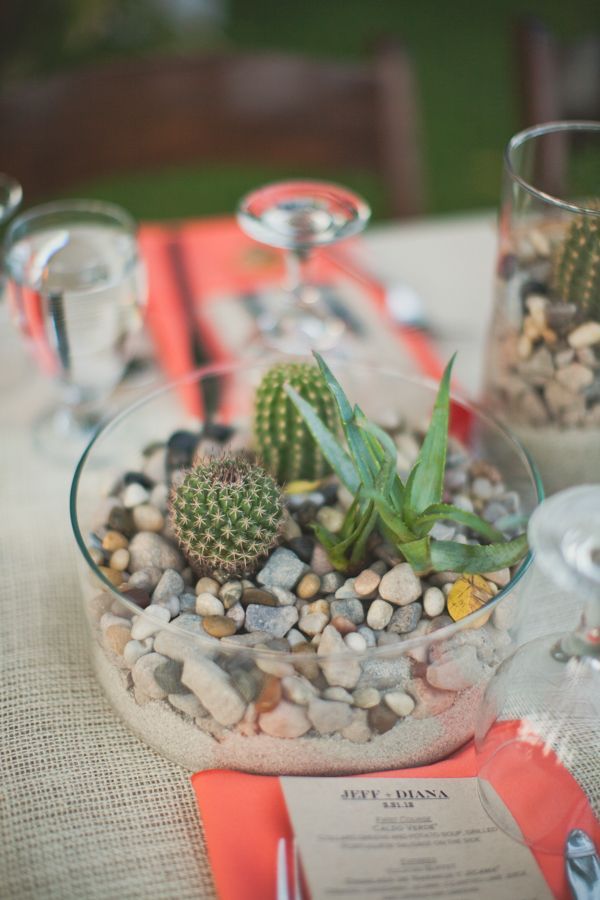 Succulent arrangment in the theme of desert.