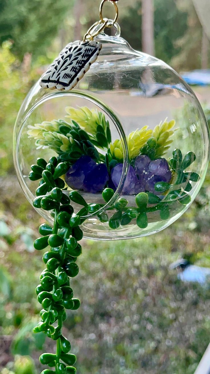 Bunch of succulents placed in a glass globe hanging outdoors.