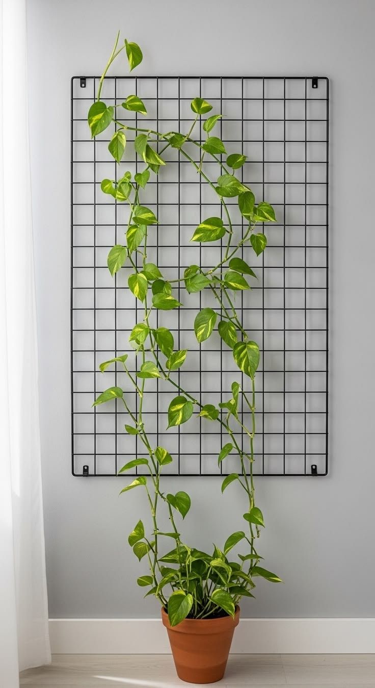 Grid-Frame-Vine-Wall.jpg