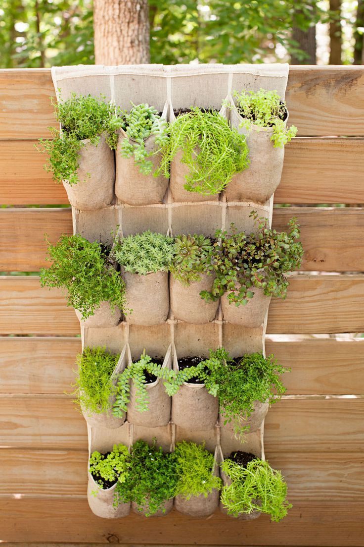 Different types of herbs are planted in a hanging shoe organizer and hanged on a wooden wall.
