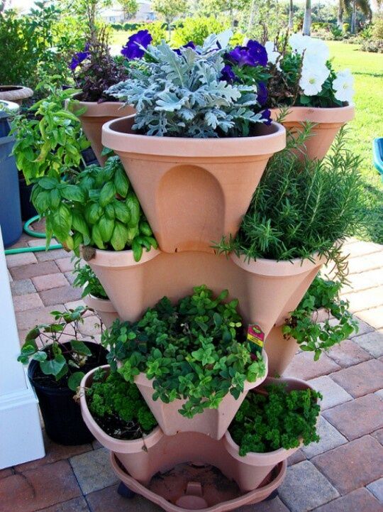 A multi tiered planter with herbs planted in each planters.