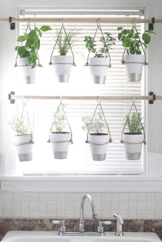 Herb garden on Hanging Window Planter.jpg