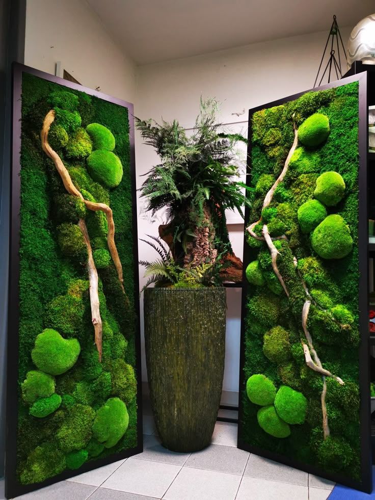 Indoor-Moss-Wall.jpg