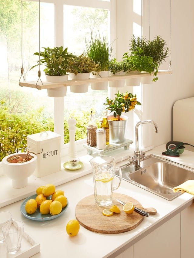 Kitchen-Plant-Wall.jpg