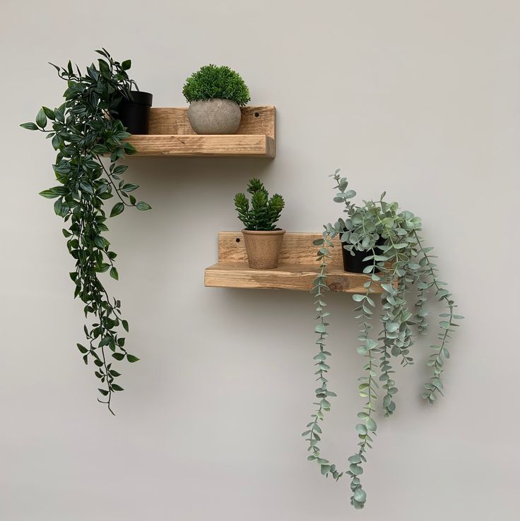Mini-Vertical-Garden.jpg