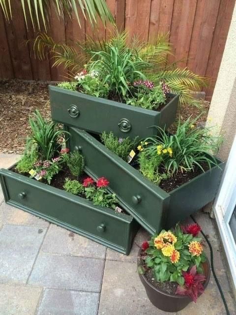 Old Drawer Herb Garden.jpg