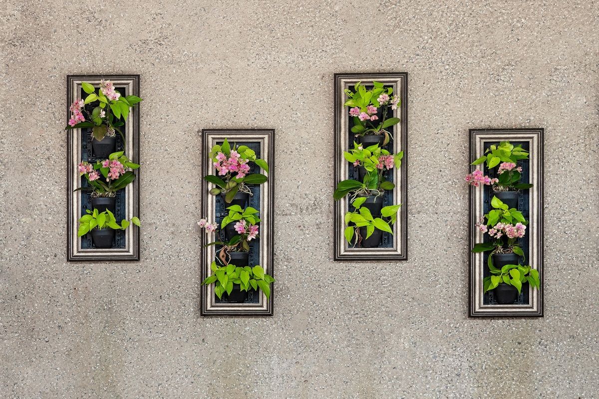 Potted-plants-on-wall.jpg