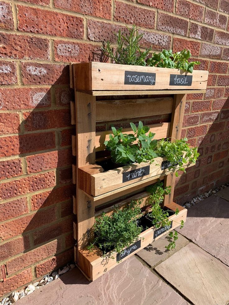 Wooden pallets are placed near a wall and being used as herb garden to plant herbs.