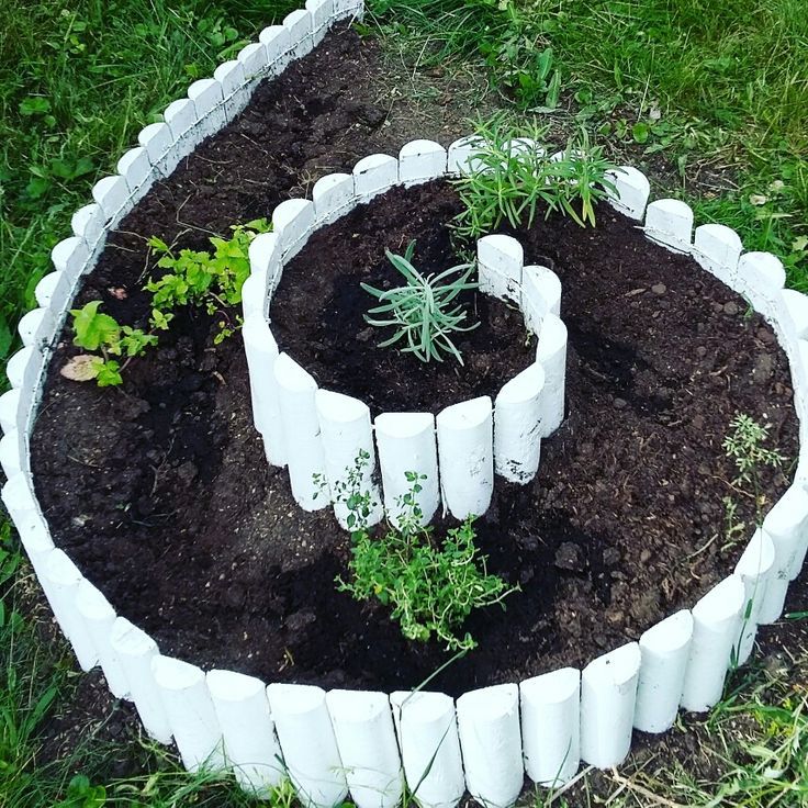 A spiral herb garden outdoors with some herbs being grown in it.