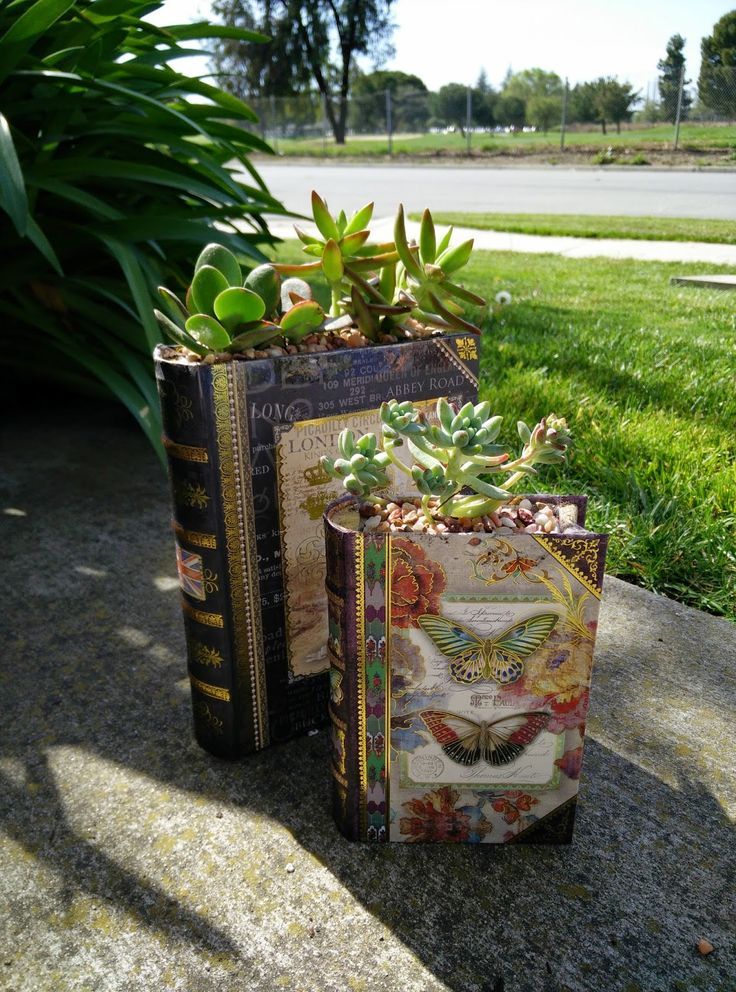 Succulents planted in books