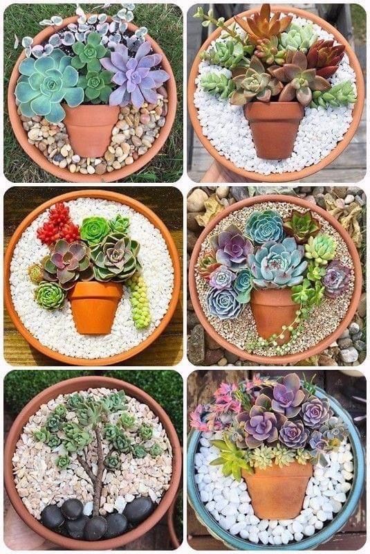 6 different styles of Succulent Bowl Gardens