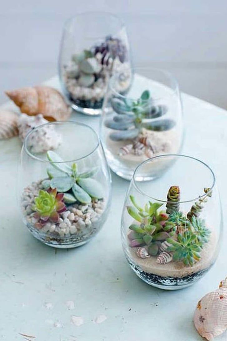 Succulents planted in wine glasses