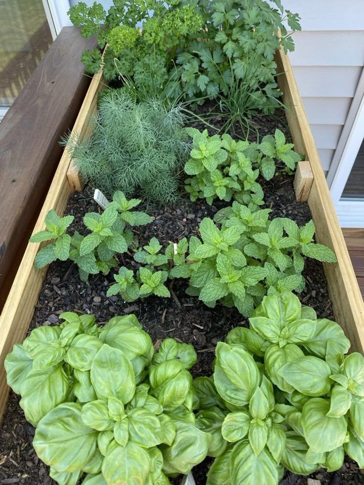 Traditional Raised Bed Garden.jpg