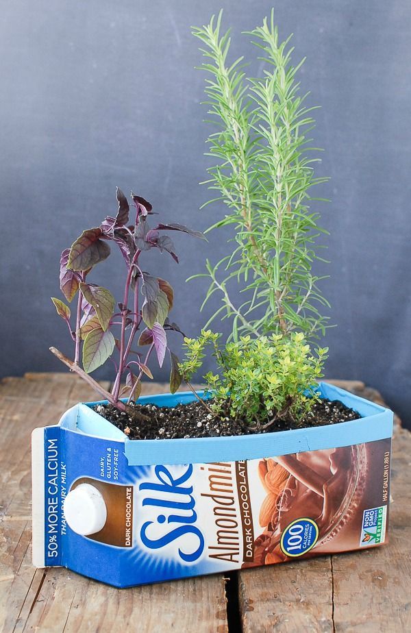 Using Milk or Juice Carton as Herb Planters.jpg