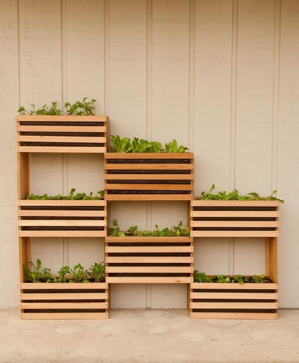 Vertical-Vegetable-Garden.jpg