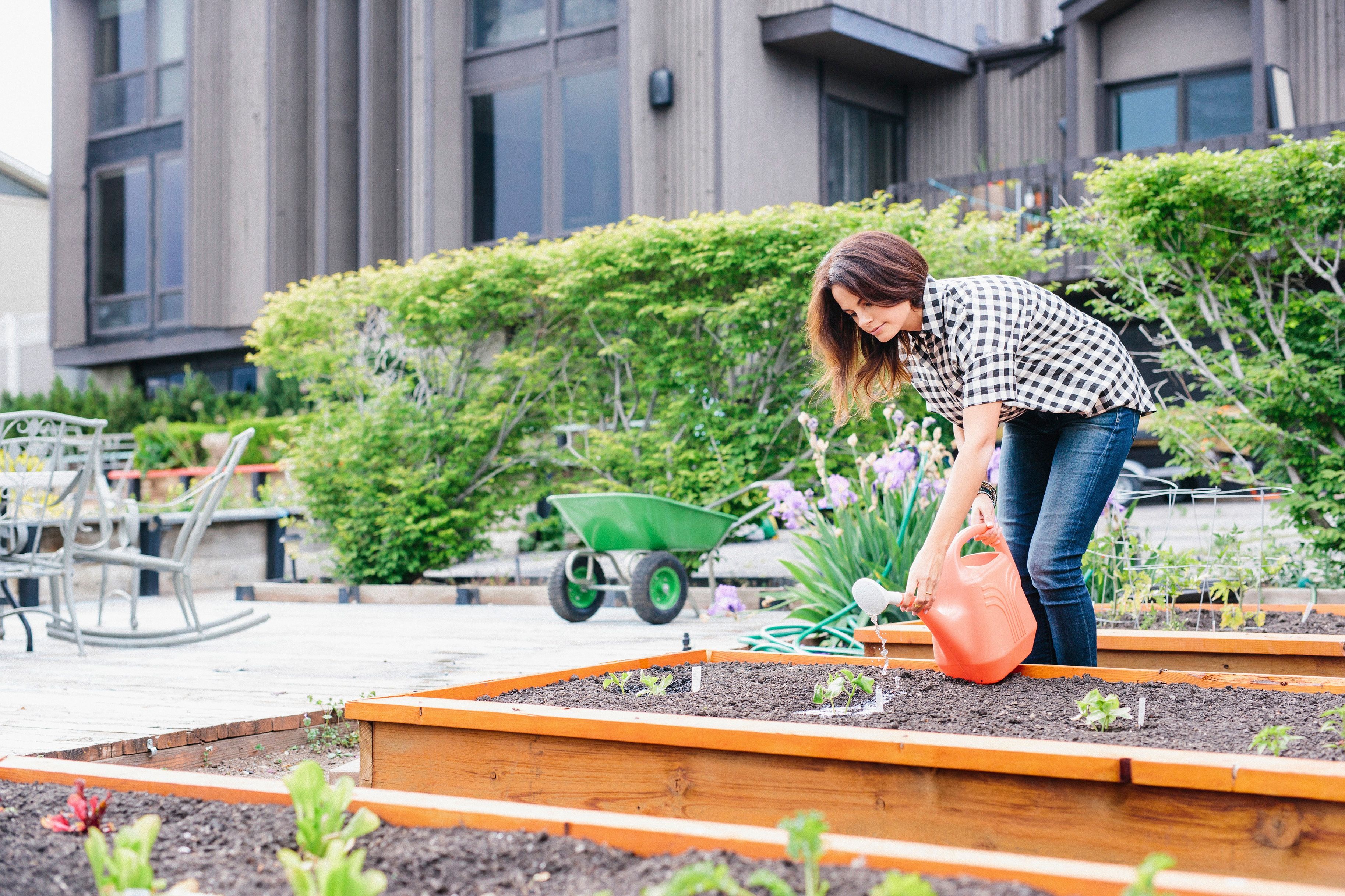 Woman with long brown hair working in a garden, watering seedlings in a raised bed.