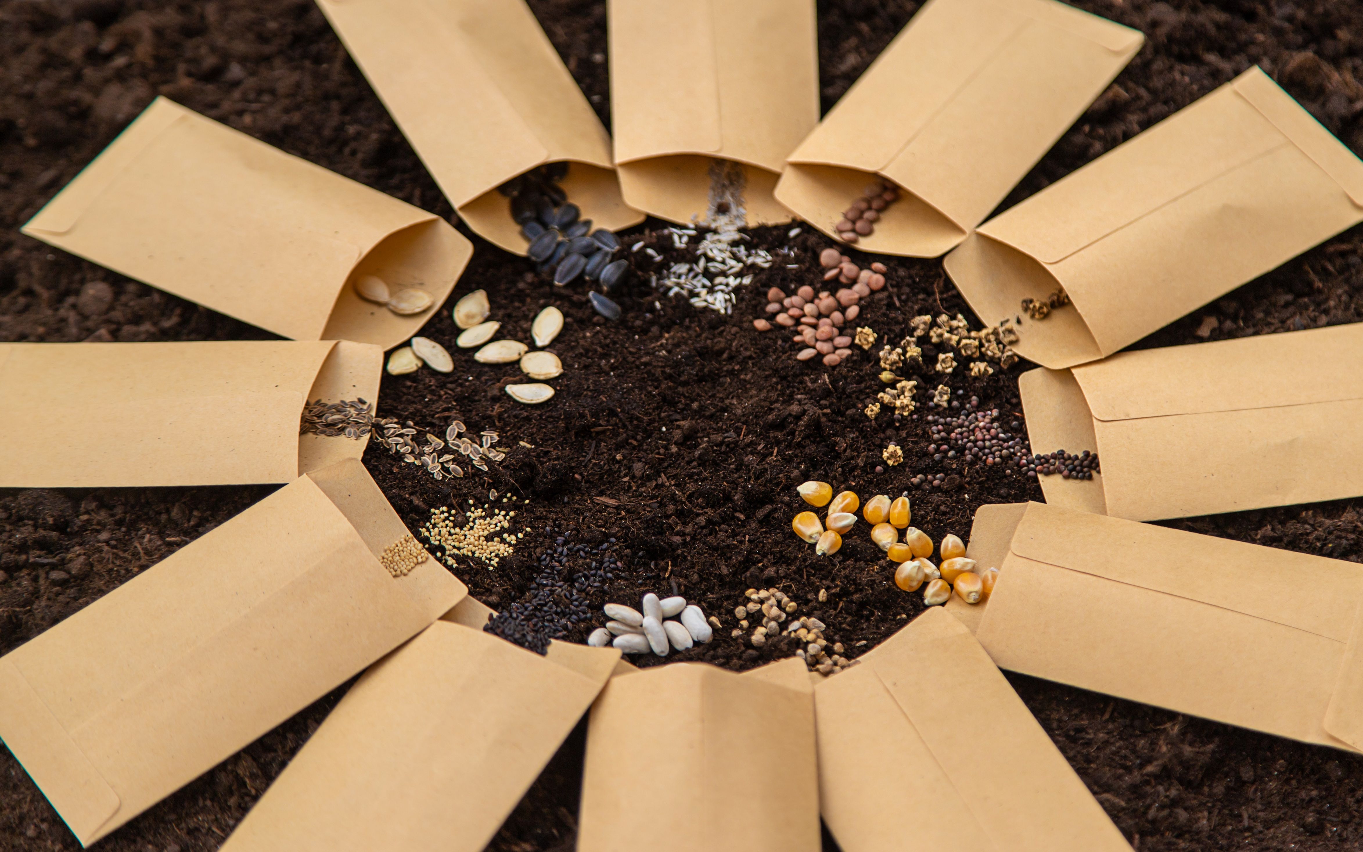 Seeds of different plants placed on a bed's soil. The packets create a circle in artistic way.