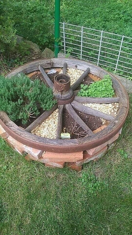 Wheel Herb Garden.jpg