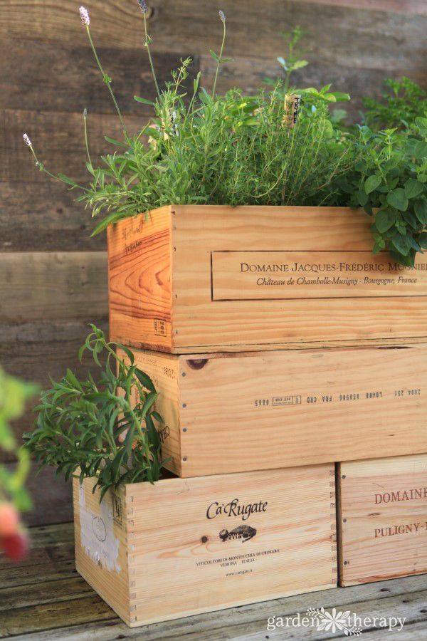 Wine-Crate-Herb-Garden.jpg