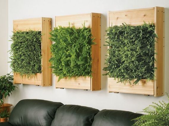 Wooden-Box-Fern-on-the-Wall.jpg