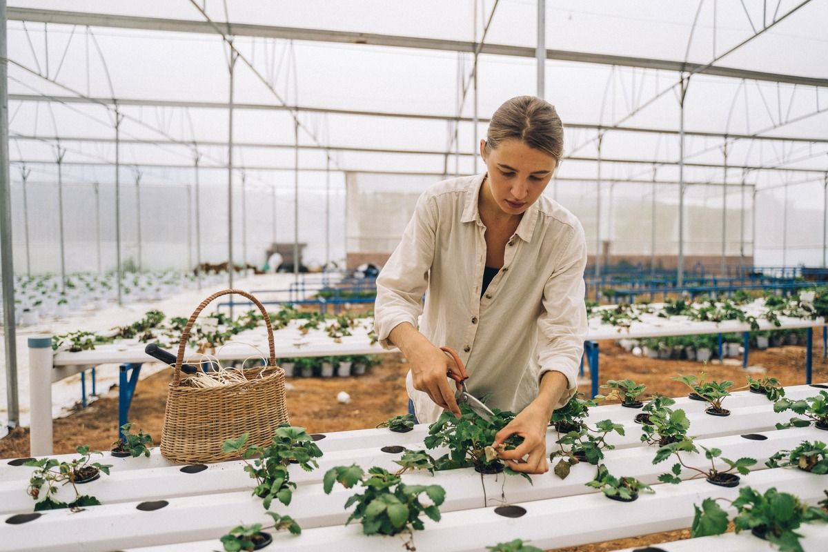 hydroponic-care.jpg