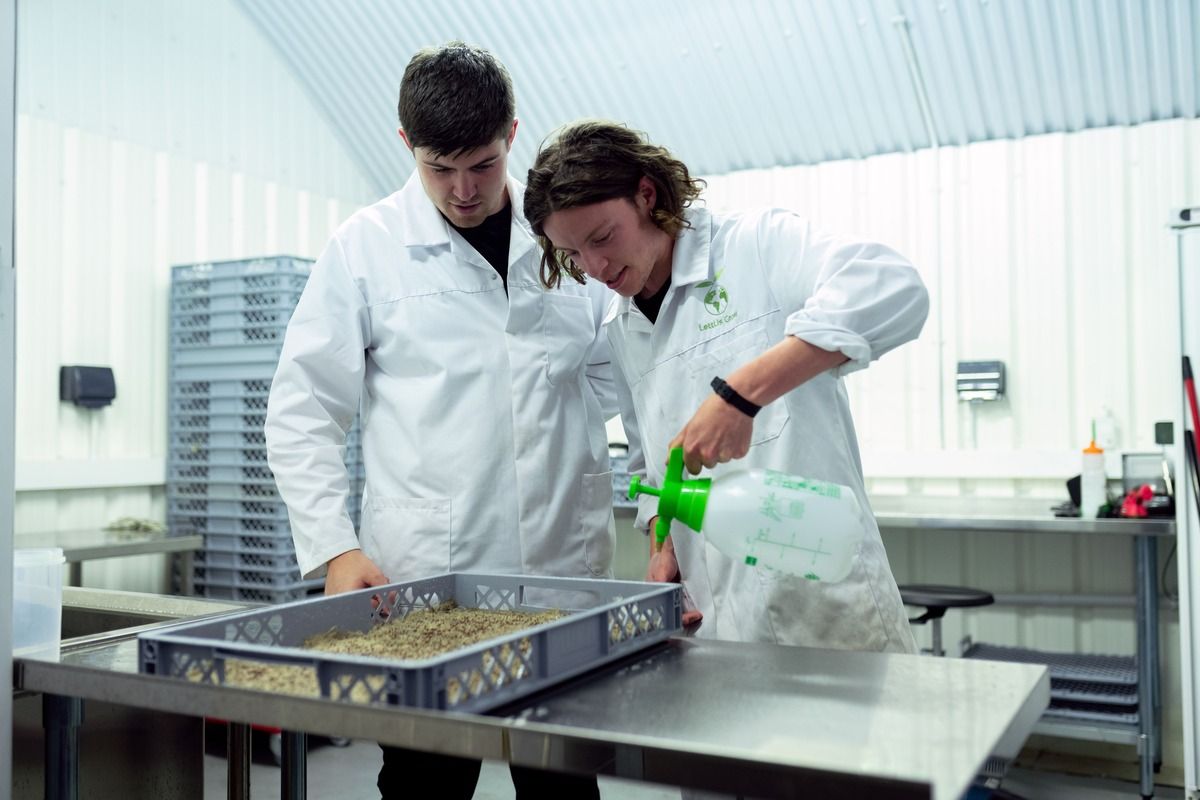 hydroponic-pH-testing.jpg