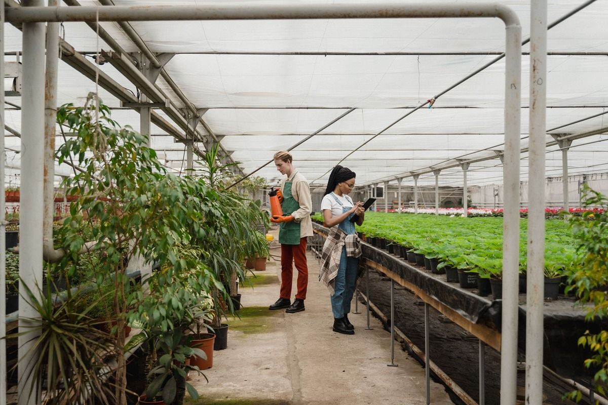 hydroponic-pest-control.jpg